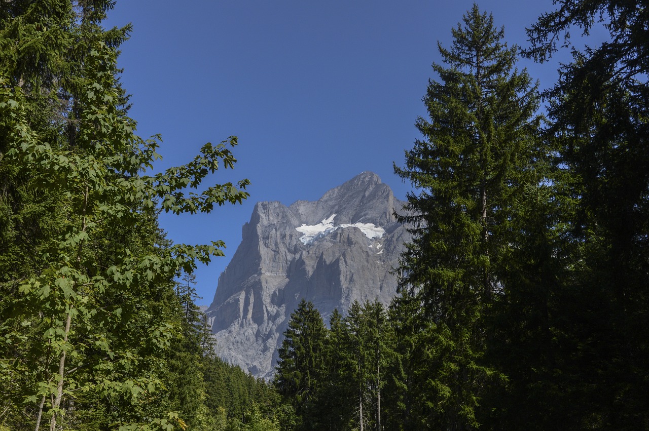 How to Minimize Your Environmental Impact in the Swiss Alps